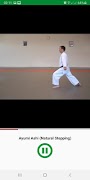 Learn Karate Techniques スクリーンショット 3