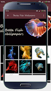 Betta Fish Wallpapers স্ক্রিনশট 3