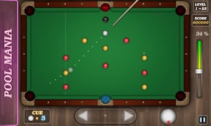 Pool Mania screenshot 1