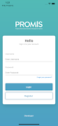 Promis - Developer captura de pantalla 1