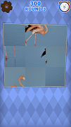 پوستر Brainplorer Image