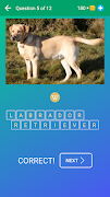 Dog Quiz: Guess the Breed — Ga ภาพหน้าจอ 1