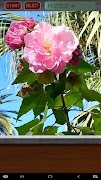 Flower Puzzle screenshot 3
