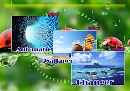 Automatic Background Changer اسکرین شاٹ 1