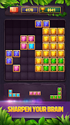 Block Puzzle Master screenshot 4