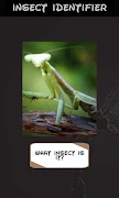 Automatic insect identifier ภาพหน้าจอ 3