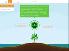 5 Schermata Global Change