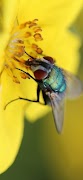 Biological Microscopes capture d'écran 6