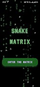 SnakeMatrix plakat