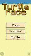 پوستر Turtle Race