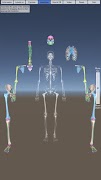 Skeletal System captura de pantalla 3