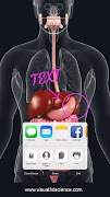 Digestive System Anatomy स्क्रीनशॉट 5