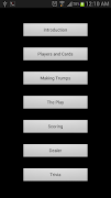 Mendicot screenshot 7