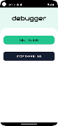 Bug remover 포스터