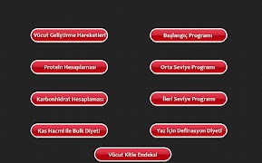 پوستر Vücut Geliştirme Hareketleri