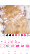 WataameCamera screenshot 5