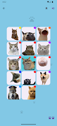 Cat Memory スクリーンショット 3