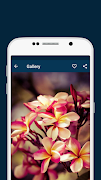 PIX Wallpapers HD screenshot 2