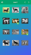 Dog Quiz: Guess the Breed — Ga 스크린샷 2