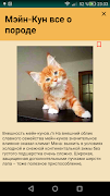 Мейн кун 截圖 2