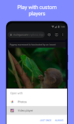 Vider Adblock - Video Browser スクリーンショット 2