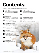 Predator Nation اسکرین شاٹ 2