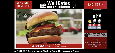 WolfBytesTV syot layar 2