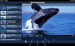 WhaleGuide स्क्रीनशॉट 7