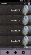 Owl Sounds poster