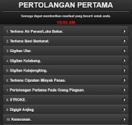 pierwsza pomoc screenshot 3