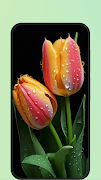 6 Schermata Flower Images