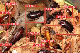 MyEntomologist اسکرین شاٹ 7