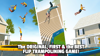 Flip Master screenshot 1