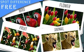 Find The Difference : Spot Difference #1 Screenshot 4