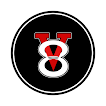 V8 Segurança