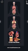 Organs Anatomy Pro. ภาพหน้าจอ 1