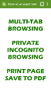 Tiny Browser Pro bài đăng