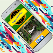 Backyard Garden Ideas screenshot 3