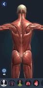 Human Anatomy 3D screenshot 1