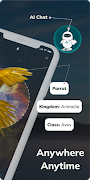 Bird Detect ảnh chụp màn hình 1