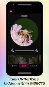 Insects Under Microscope скриншот 4