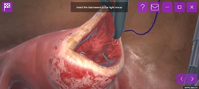 DIMEDUS Screenshot 7