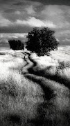 Dramatic Black & White ảnh chụp màn hình 1