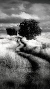 Dramatic Black & White Ekran Görüntüsü 1