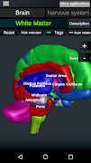 Brain and Nervous System 3D screenshot 4
