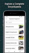 برنامه‌نما DogsQuiz عکس از صفحه