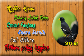 برنامهنما Suara Burung Jalak Kebo MP3 عکس از صفحه