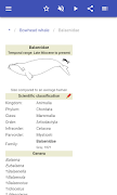 Cetaceans اسکرین شاٹ 2