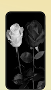 black rose syot layar 6
