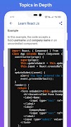 Learn React PRO screenshot 6